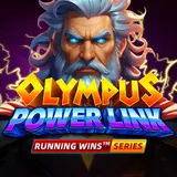 Olympus Power Link
